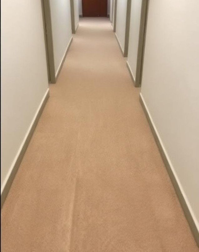 Moquette de couloir après nettoyage par injection-extraction : fibres rafraîchies et aspect ravivé
