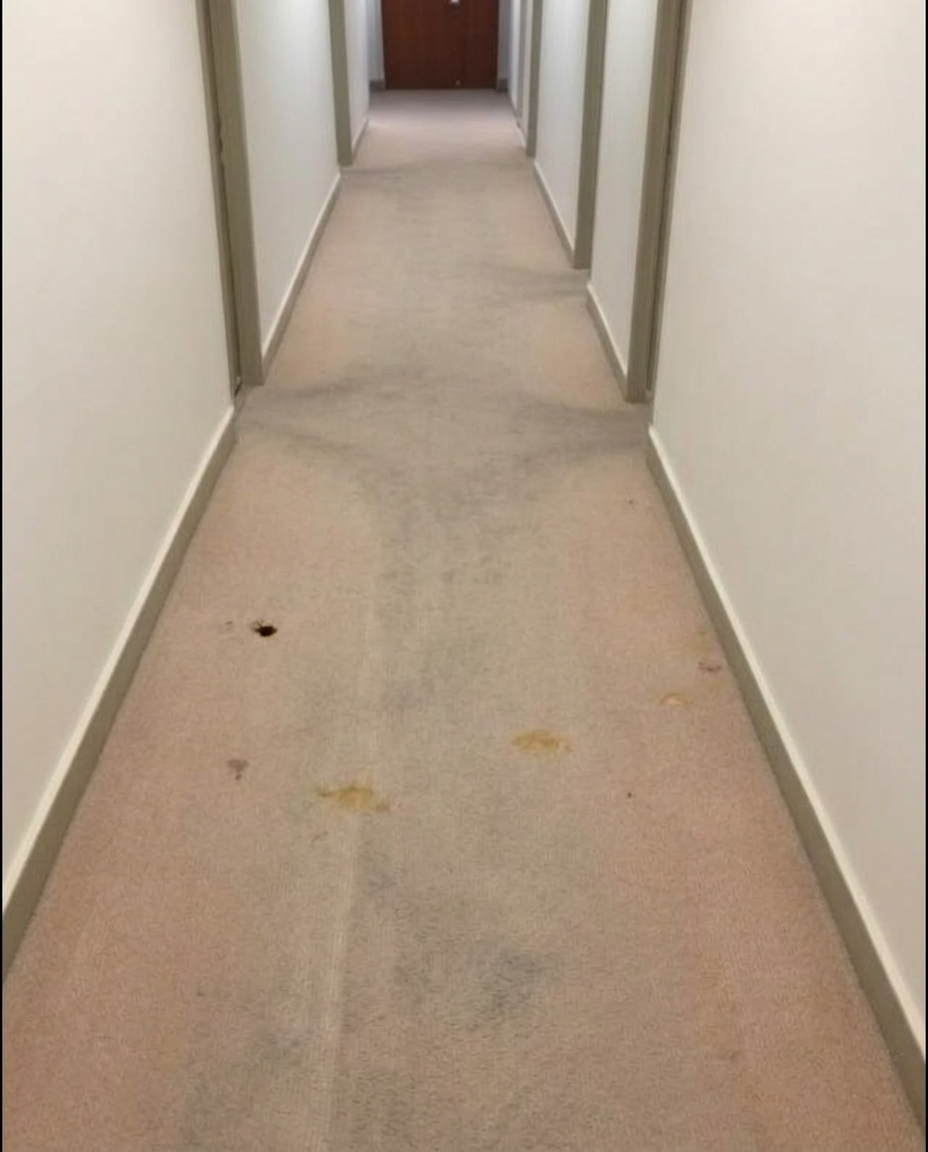 Moquette de couloir avant nettoyage : zone de passage ternie par le trafic quotidien